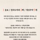 언니네디저트