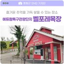 에듀팜특구관광단지(벨포레리조트) | 에듀팜특구관광단지 / 벨포레목장