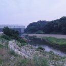 남천제방길 이미지