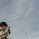 아젤리아 이미지