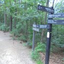 오동나무어린이공원 이미지