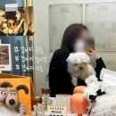 다녀오개습니다 이미지