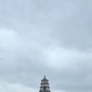 한국삼사랑이야기 | 6월-2