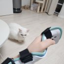 칠번가 피자 내손점 | 중수골 골절로 반깁스 5주 후기..ㅠ