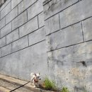 고득영동물병원 이미지