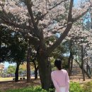 거북선공원2길 이미지