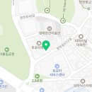 판타지게코 | 서울에서 가볼만 한 강서 파충류샵 더드래곤 우주최강 귀요미 파충류분양 구경은 꽁짜입니다