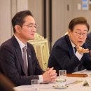 최태원·정의선 등 재계 총수들에 박항서 이루마까지... 베트남 정상 국빈 만찬 참석﻿ 이미지