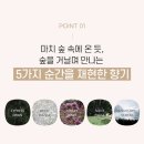 어라운드(A ROUND)
