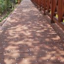 장복산길 이미지