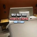 가마치통닭신항만점 | 내돈내산 부산 숙소 추천 브라운도트호텔시그니처 부산신항만점