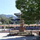 월출산 도갑사 - 국보와 보물 따라 계곡 따라 걷는 전남 여름 여행지 (feat 남도답사 일번지)
