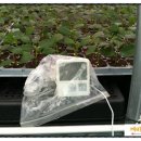 녹지농장 이미지