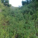 ''산행기'' 이미지