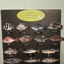 낭만물고기실내바다낚시터 이미지