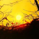 황덕현의 기후 한 편] 20세기 B급영화가 그린 '물 권력'…사막의 생명줄, 볼모가 되다(뉴스1) / [빛명상] 가장 소중한 것 이미지
