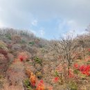 노곡천 | [서울근교] 경기도광주 데이트 코스 추천 : 곤지암 화담숲 : 동동국수 본점 : 카페 어썸브로