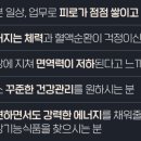 지노에너지 이미지
