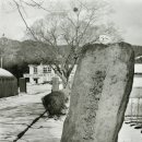 정천중학교 이미지