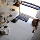 냥코캐슬 이미지