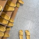 [온캠] 한번에 끝내는 네트워크관리사 2급 실기 | 네트워크관리사 2급 실기 3일 공부 합격 후기 공부방법 난이도 서울시험장