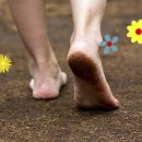 초안산 세대공감공원 | 맨발걷기, 뇌신경자극, 명상힐링 트랙킹 코스,서울 도봉구 초안산 황토볼 맨발길 안내👣🌱