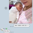 고스락김밥 | 8월