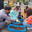 월문초등학교 이미지