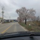 호빈조류새농장 이미지