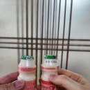 홍성식당 | 충남 홍성 불고기 맛집 미도식당 방문 후기