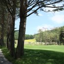 웰빙오투 이미지