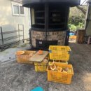 신례토종닭식당