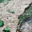 진보주유소 이미지