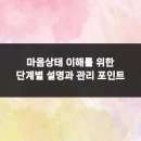 마음상태 이해를 위한 단계별 설명과 관리 포인트