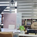 동화사주 이미지