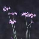 김종열농장 이미지