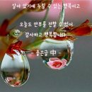 예쁜하루