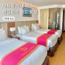 골드SUN | 나트랑 리게일리어 골드 호텔 시내 레갈리아 위치 공항 샌딩 기사 추천