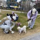 (주)마루펫 이미지