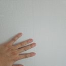 신흥북로 이미지