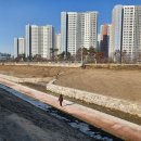 양산동 삼미천 (주)경기 타임스
