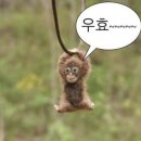 실내체육관 | [잠실] 잠실 실내체육관 공연 후기 및 꿀팁 (feat.데이식스 10주년 팬미팅🩵)