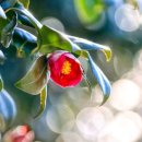 나루터로 27 (7) 이미지