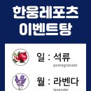 한웅레포츠 네이버블로그