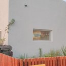 살구스테이 이미지