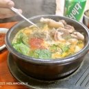 마포유가궁중족발