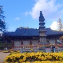 금산사 성보박물관 | (공주 마곡사 명부전 단풍)가볼만한 곳 단풍명소 마곡사 명부전 단풍현황 가족여행지^^~11.1