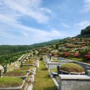 삼덕공원 앞 이미지