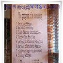 쌍계초등학교 이미지