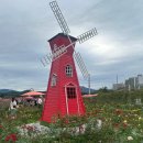 장미농원 | 서울 근교 꽃 구경 양주 나리 농원 방문 후기